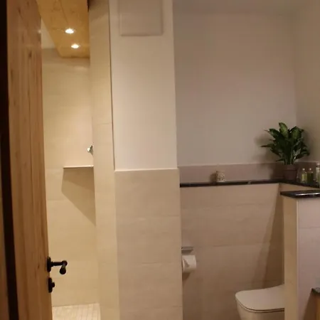 Langackerbauer Apartament *